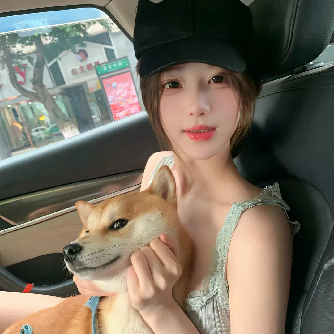 双面骗子虚假警察第一季